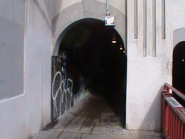 walking tunnel entrance